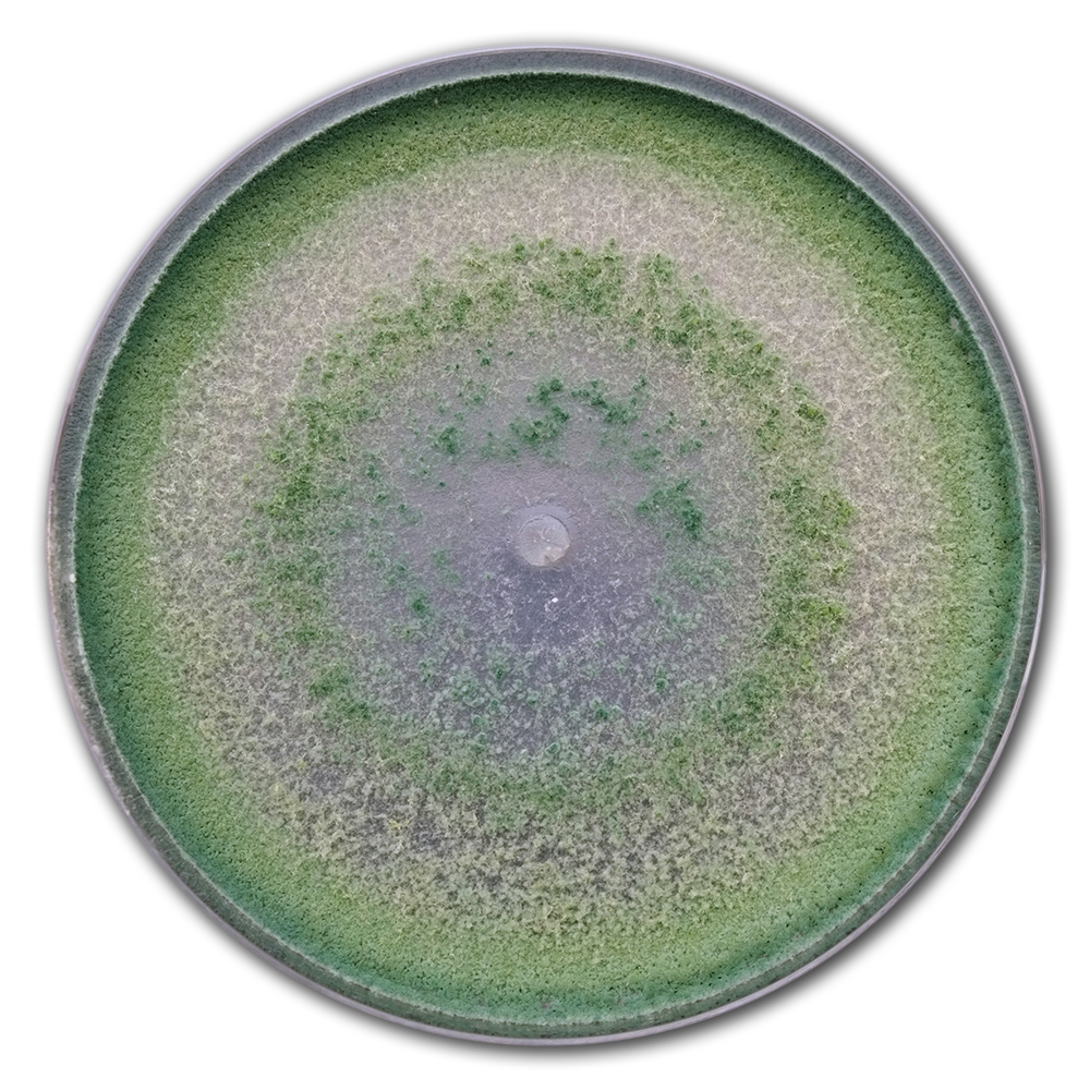 TNC MycorrMax-Premium Champignons mycorhiziens poudre avec Trichoderma et bactéries