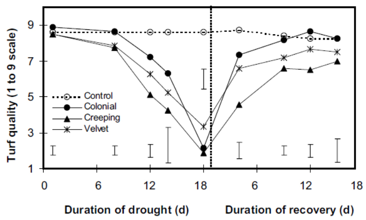  résultats d'essais de résistance à la sécheresse sur agrostides. 