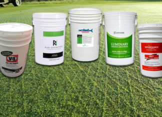 Quelle variété d’agrostide pour green lors de l’aération de printemps?