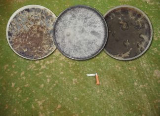 Dollar Spot : Sclerotinia Homoeocarpa n’est plus : place à Clarireedia Dollar spot header