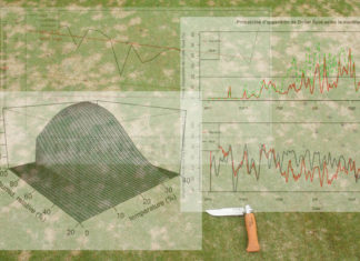 Dollar Spot et changement climatique