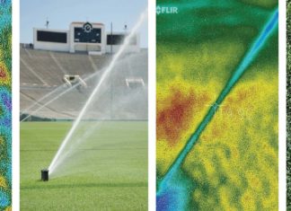 Impact des syringes sur la température foliaire du gazon