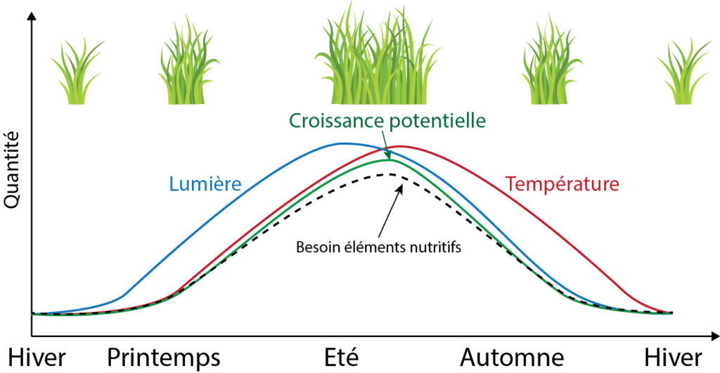Evolution de la croissance potentielle en fonction de la quantité de lumière photo-assimilable et de la température au fil des saisons.