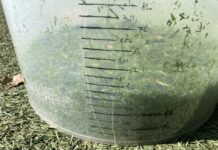 Manuel de mesure de la croissance sur les terrains de sports seau utilisé pour les mesures de croissance