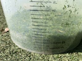 Manuel de mesure de la croissance sur les terrains de sports seau utilisé pour les mesures de croissance