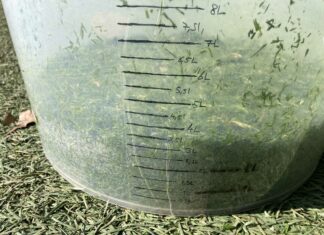 Manuel de mesure de la croissance sur les terrains de sports seau utilisé pour les mesures de croissance