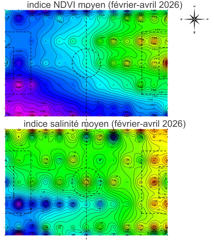NDVI et IS moyen du stade sur la période février-avril 2026