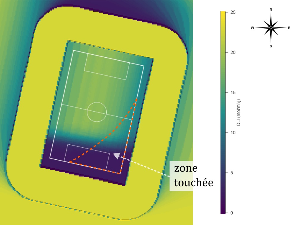 Schéma du stade étudié avec signalisation de la zone affectée par la maladie